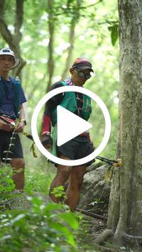 BIB:  <button type="button" onclick="openModal(27935160)" class="btn btn-primary btn-sm float-right" data-toggle="modal" data-target=".modal-high-quality">
                <i class="fa fa-download"></i> Download
                </button>